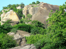 Elaboration du projet de territoire de l'espace de développement partagé (EDP) des 41 collines formés par les communes de DASSA-ZOUME et GLAZOUE